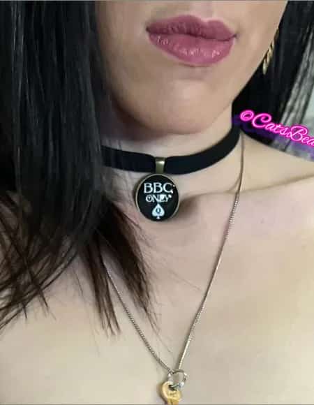 ♠️CatsBeary🔐 profile photo