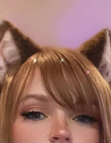 PeachJars profile photo