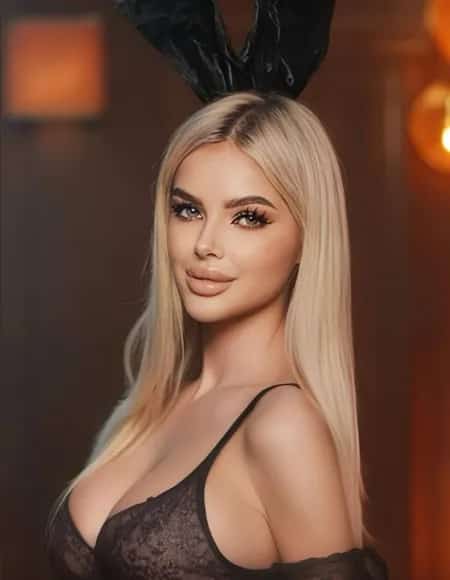 🕸️  𝐏𝐄𝐑𝐒𝐈𝐀𝐍 𝐋𝐀𝐋𝐈  🕸️ profile photo