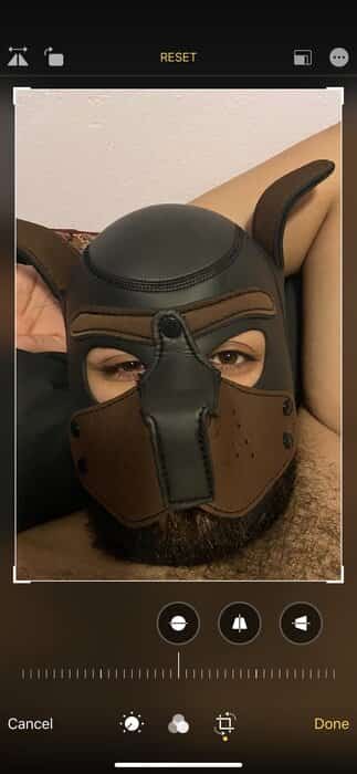 Scruffy profile photo