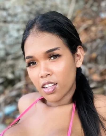 Natty ladyboy VIP 🧚‍♀️🦋 OnlyFans profile