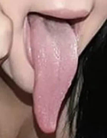 Reptil OnlyFans profile