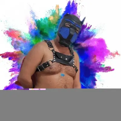 Alfabear27