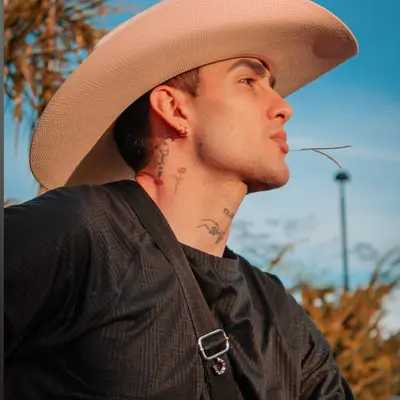 Arleytoloza