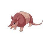 Armadillooutpost