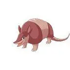 Armadillooutpost