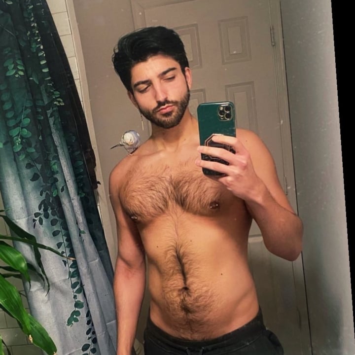 Armanisfantasy