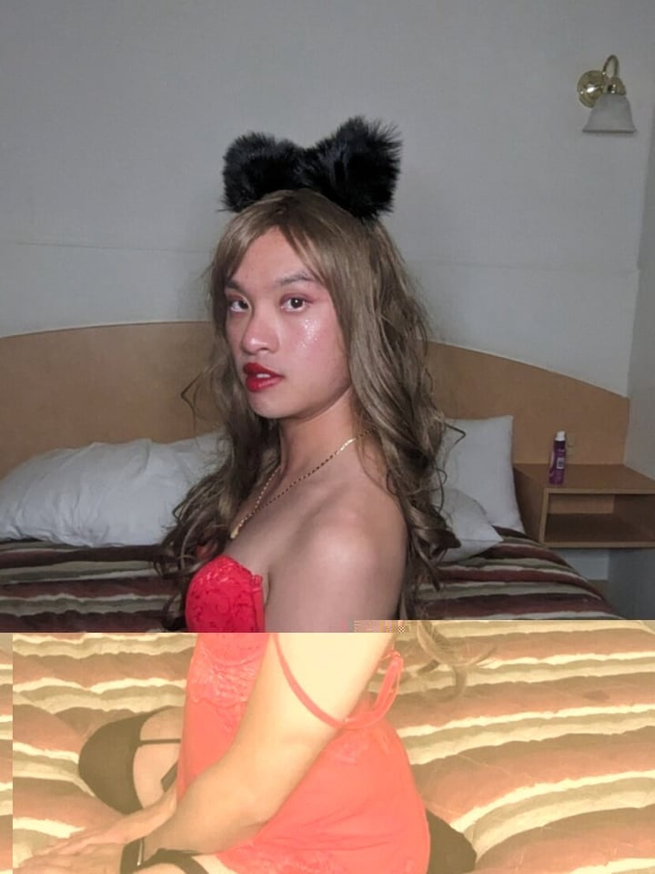 Asiansissycd