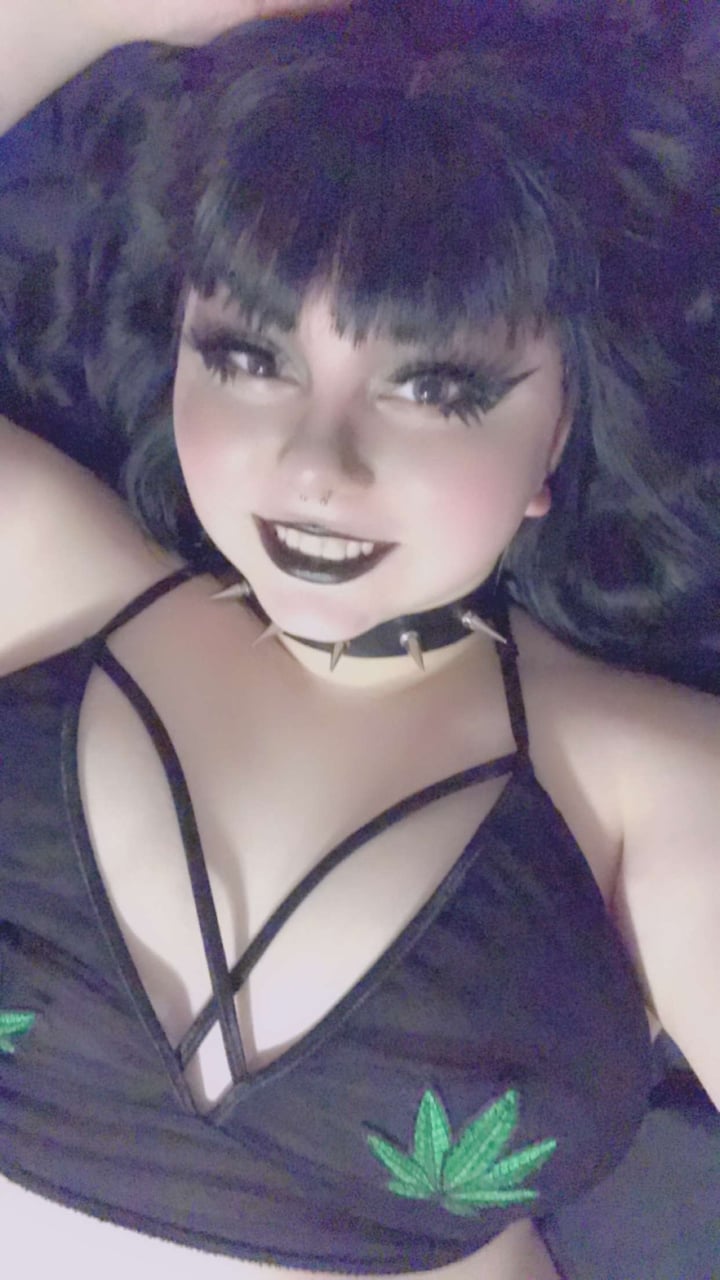 Bigoltitbees