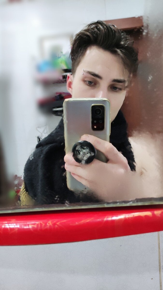 Bivladys