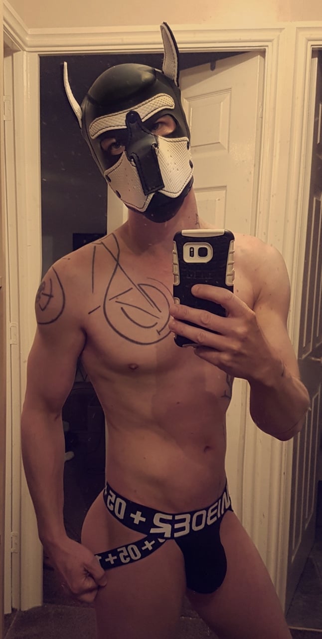 Boxerlad