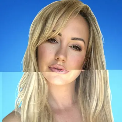 Brettrossi
