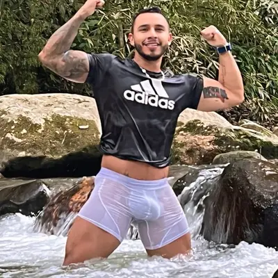 Bustamantefitt