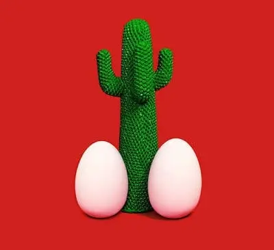 Cactosmagazine