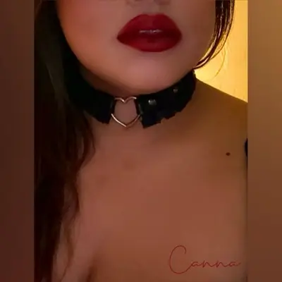 Canna Curves