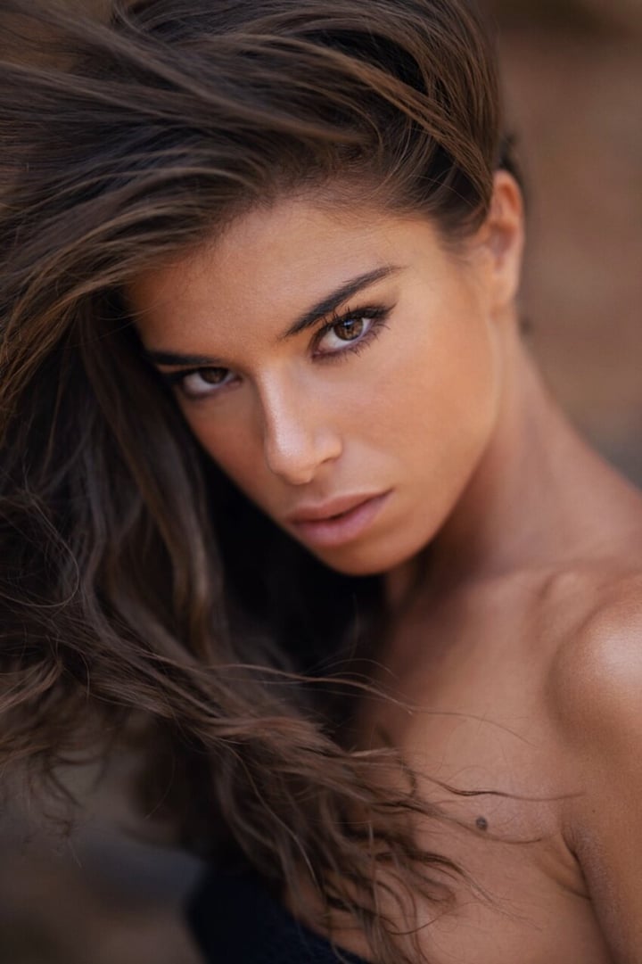 Chiarabmodel