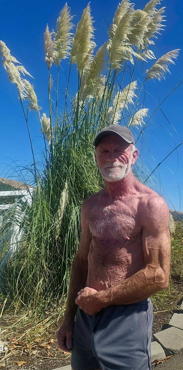 Daddyplow