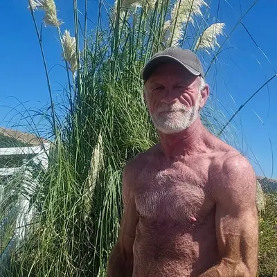 Daddyplow