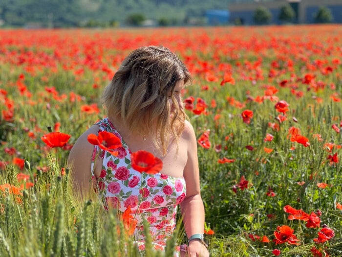 Daisyvibes