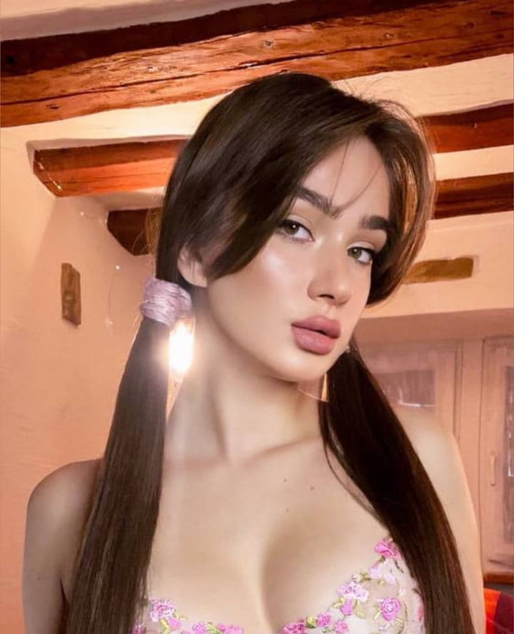 Di 🐰