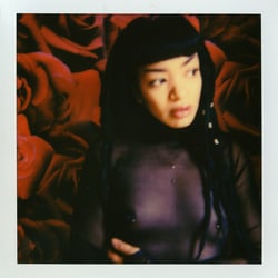 Dollyvicious