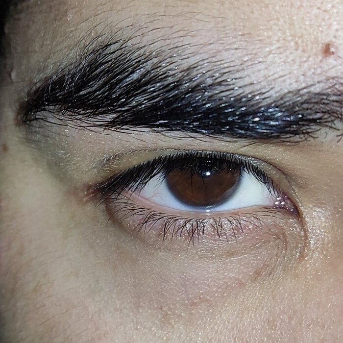Elculodemex