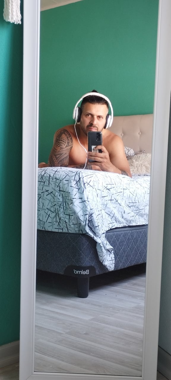 Elmorochomaori