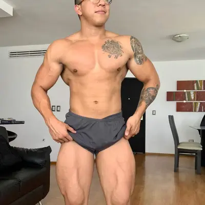 Elvisantiz