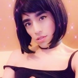 Evacicada