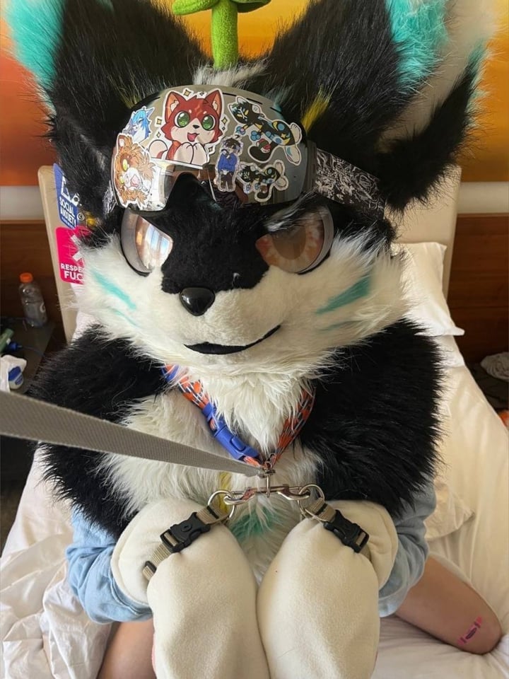 Femboydoggo