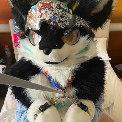 Femboydoggo