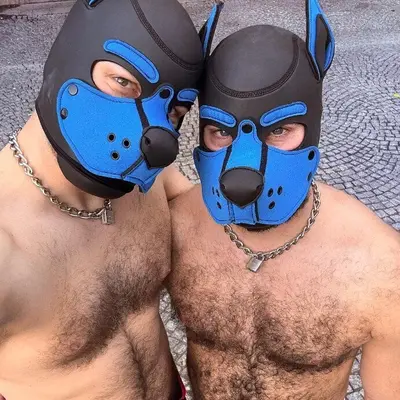 HairyPups