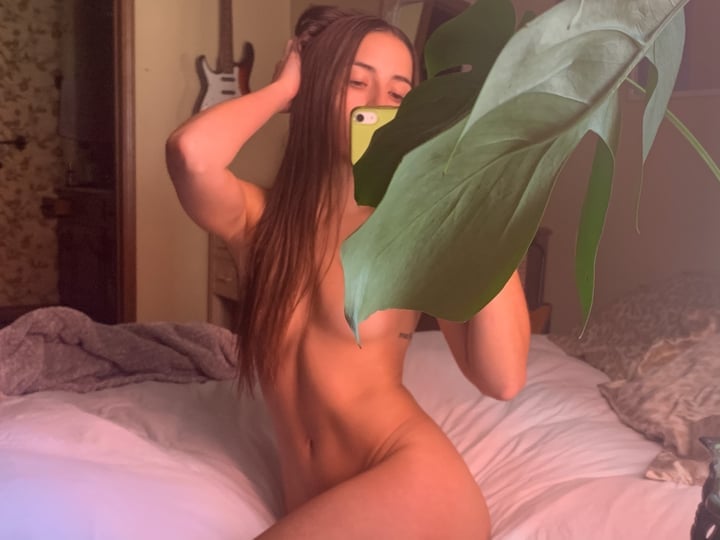 Hanvip