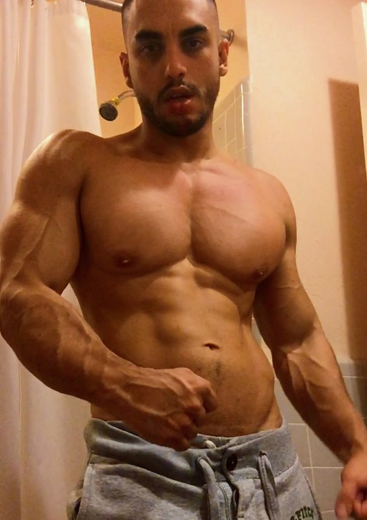 Hausofsedavi
