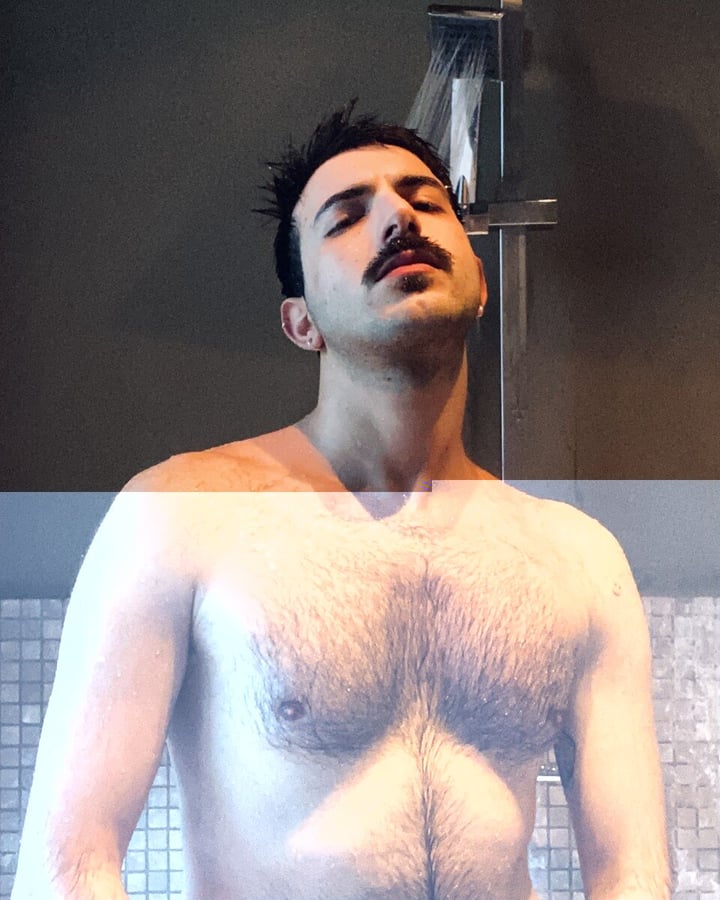 Homo