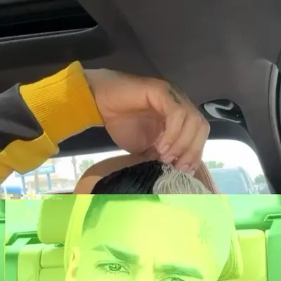 Icykotta