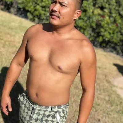 Islandguyjay