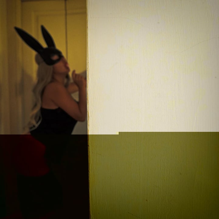 Italianrabbit