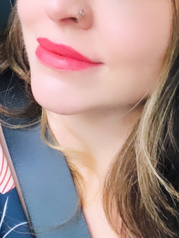 Janisjmodel