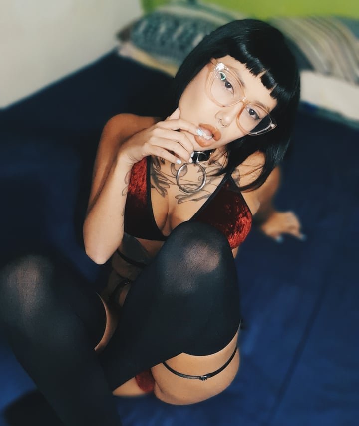 kitty