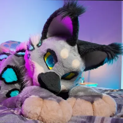 Kylomew