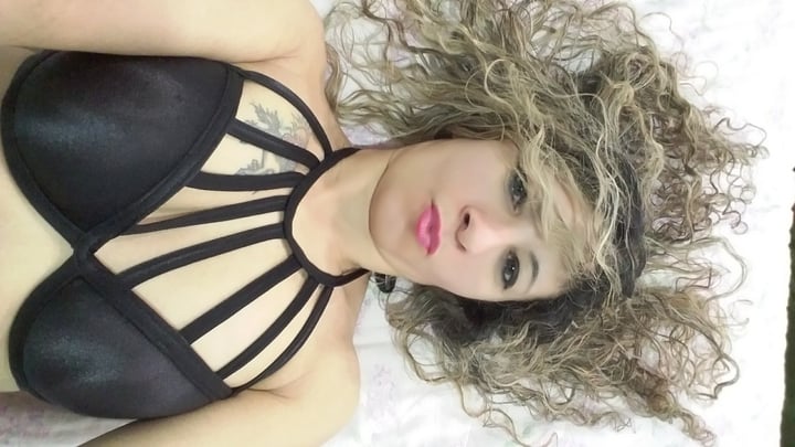 Laylabrasil