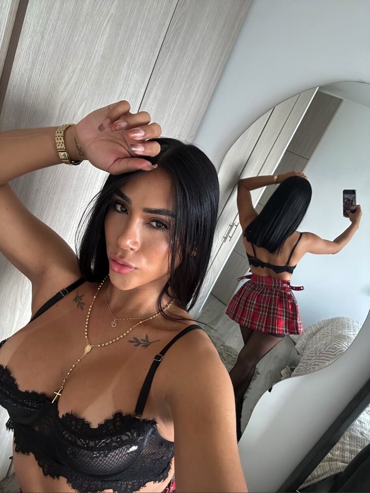 Leylasteelmodel