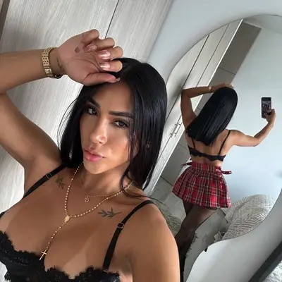 Leylasteelmodel