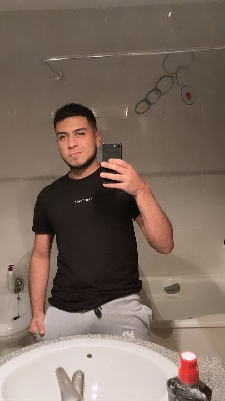 Lionarmani
