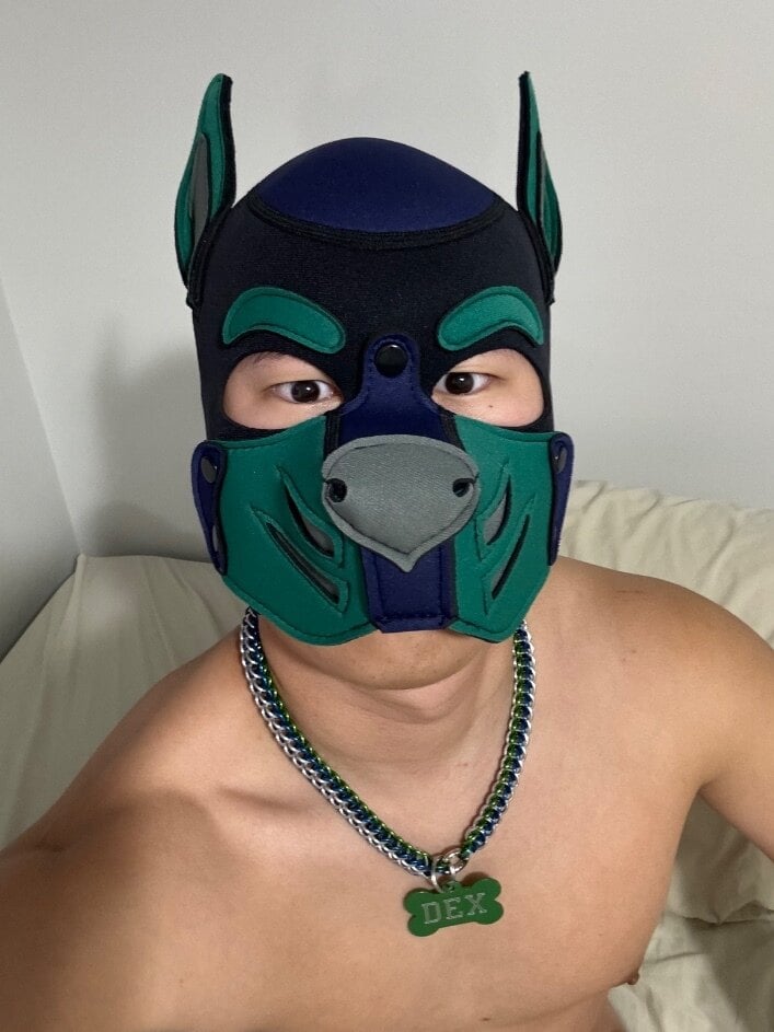 Pup Dex