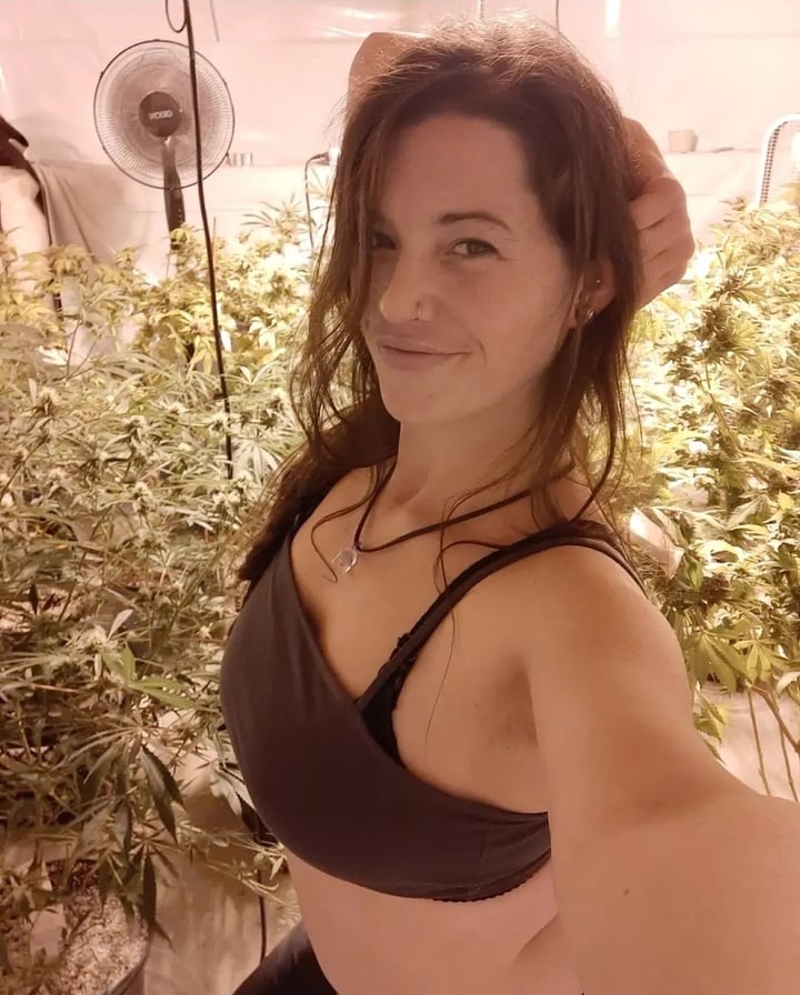 Mamajuanasmoke