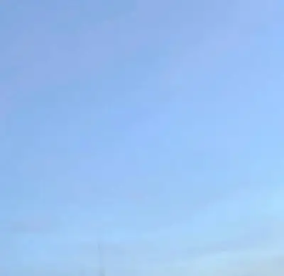 Melon
