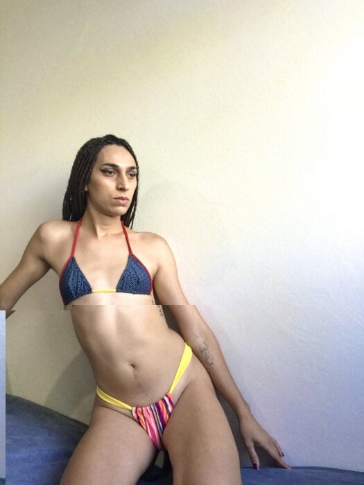 Nickkytrans