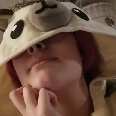 Nordickitten